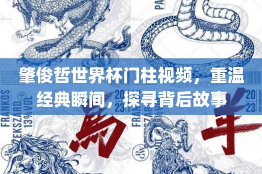 肇俊哲世界杯门柱视频，重温经典瞬间，探寻背后故事