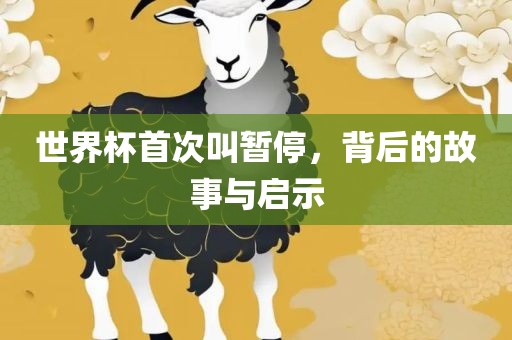 世界杯首次叫暂停，背后的故事与启示眉山市正发家政服务有限公司