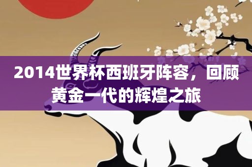 2014世界杯西班牙阵容，回顾黄金一代的辉煌之旅眉山市正发家政服务有限公司