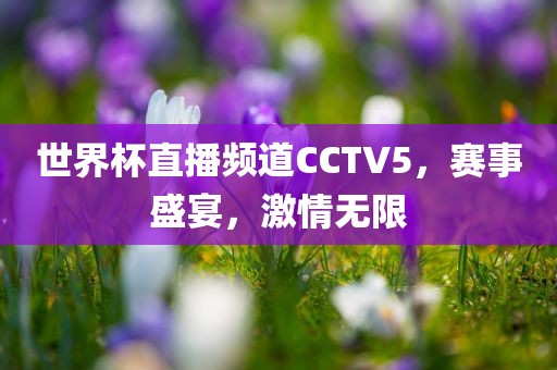 世界杯直播频道CCTV5，赛事盛宴，激情无限