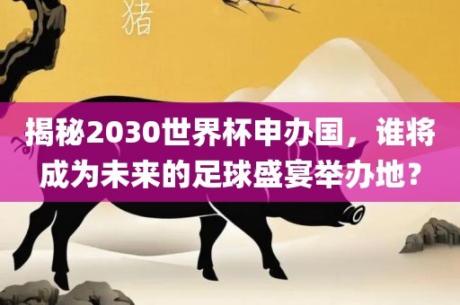 揭秘2030世界杯申办国，谁将成为未来的足球盛宴举办地？眉山市正发家政服务有限公司