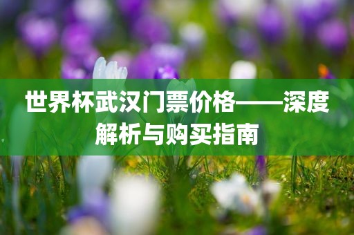 世界杯武汉门票价格——深度解析与眉山市正发家政服务有限公司购买指南