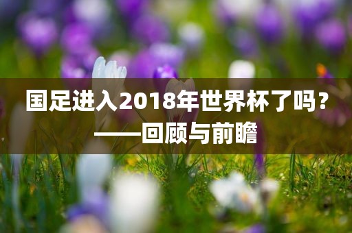 国足进入2018年世界杯了吗？—眉山市正发家政服务有限公司—回顾与前瞻