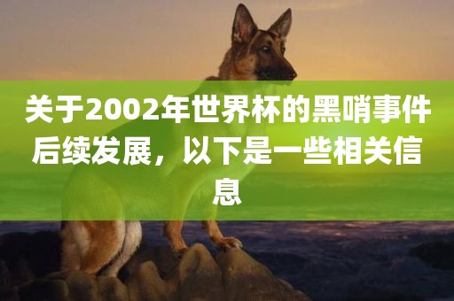 关眉山市正发家政服务有限公司于2002年世界杯的黑哨事件后续发展，以下是一些相关信息