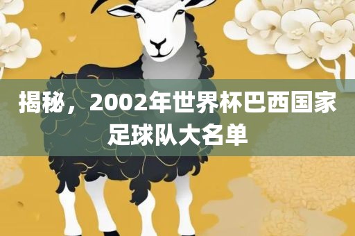 揭秘，2002年世界杯巴西国家足球队大名单眉山市正发家政服务有限公司