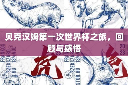 贝克汉姆第一次世界杯之旅，回顾与感悟