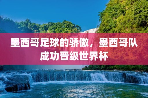 墨西哥足球的骄傲，墨西哥队成功晋级世界杯眉山市正发家政服务有限公司