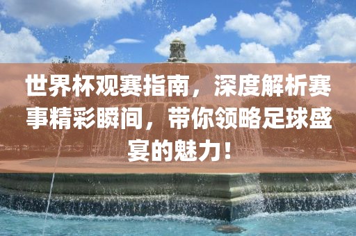 世界杯观赛指南，深度解析赛事精彩瞬间，带你领略足球盛宴的魅力！