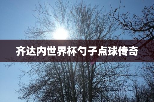 齐达内世界杯勺子点球传奇