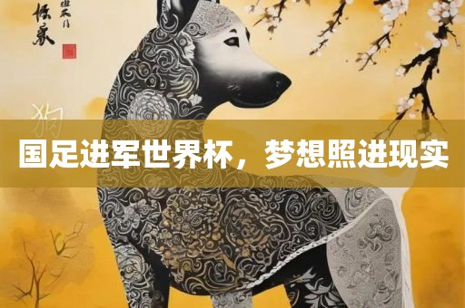 国足进军世界杯，梦想照进现实