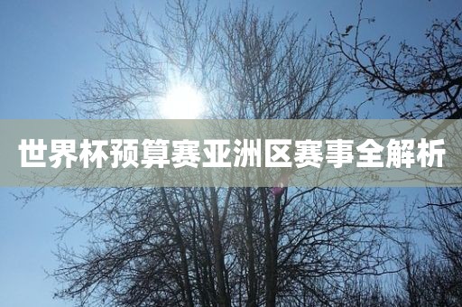 世界杯预算赛亚洲区赛事全解析