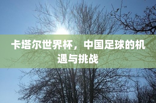 中国足球的机遇与挑战