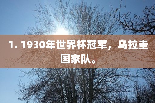 1. 1930年世界杯冠军，乌拉圭国家队。眉山市正发家政服务有限公司