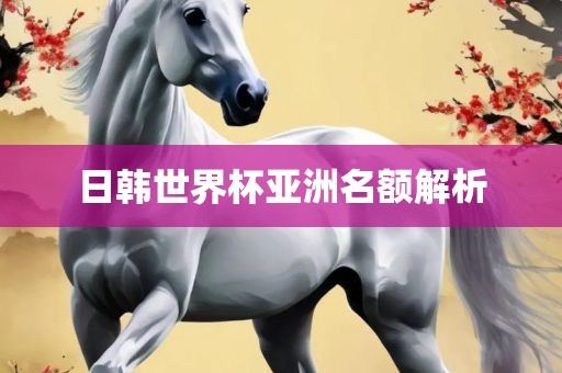 日韩世界杯亚洲名额解析