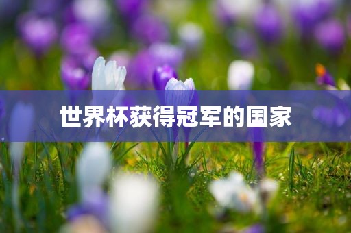 世界杯获得冠军的国家眉山市正发家政服务有限公司