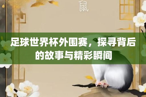 足球世界杯外围赛，探寻背后的故事与精彩瞬间眉山市正发家政服务有限公司