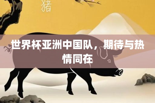 世界杯亚洲中国队，期待与热情同在眉山市正发家政服务有限公司