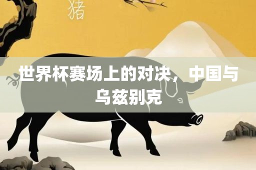 世界杯赛场上的对决，中国与乌兹别克眉山市正发家政服务有限公司