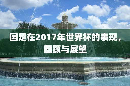 国足在2017年世界杯的表现，回顾与展望