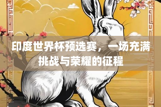 印度世界杯预选赛，一场充满挑战与荣耀的征程