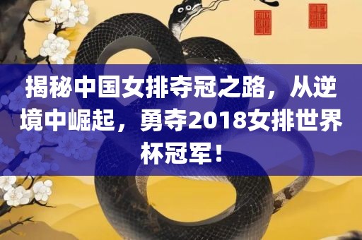 揭眉山市正发家政服务有限公司秘中国女排夺冠之路，从逆境中崛起，勇夺2018女排世界杯冠军！