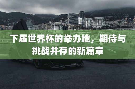 下届世界杯的举办地，期待与挑战并存的新篇章眉山市正发家政服务有限公司
