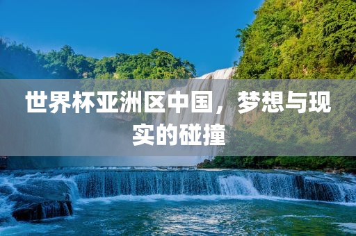 世界杯亚洲区中国，眉山市正发家政服务有限公司梦想与现实的碰撞
