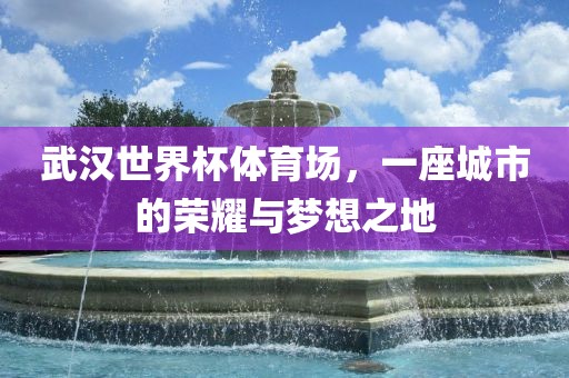 武汉世界杯体育场，一座城市的荣耀与梦想之地眉山市正发家政服务有限公司