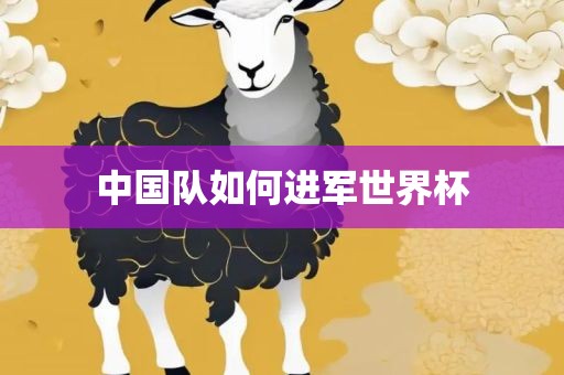 中国队如何进军世界杯眉山市正发家政服务有限公司