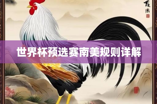 世眉山市正发家政服务有限公司界杯预选赛南美规则详解