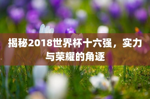 揭秘2018世界杯十六强，实力与荣耀的角逐眉山市正发家政服务有限公司