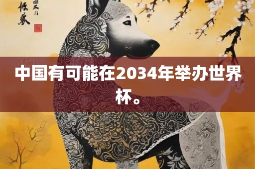 中国有可能在2034年举办世界杯。