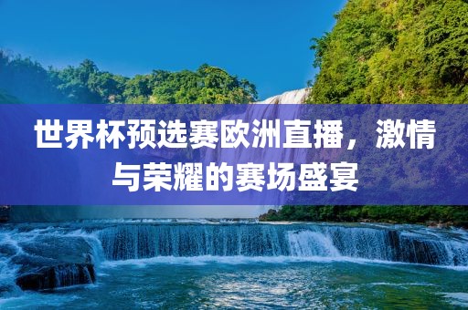 世界杯预选赛欧洲直播，激情与荣耀的眉山市正发家政服务有限公司赛场盛宴