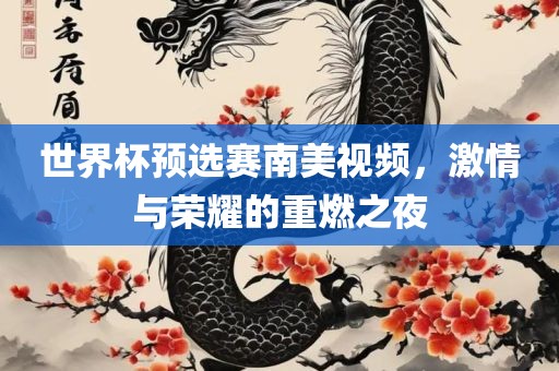 世界杯预选赛南美视频，激情与荣耀的重燃之夜眉山市正发家政服务有限公司