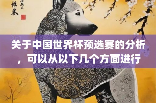 关于中国世界杯预选赛的分析，可以从以下几个方面进行