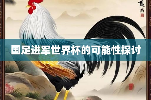 国足进军世界杯的可能性探讨