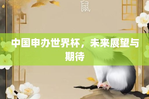 中国申办世界杯，未来展望与期待