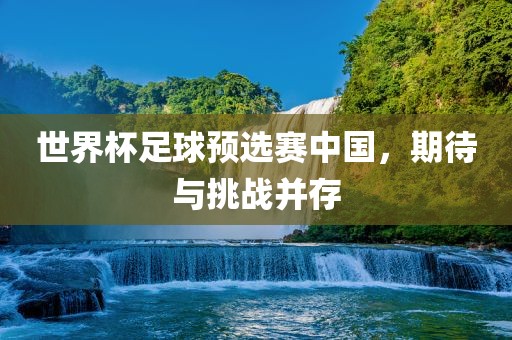 世界杯足球预选赛中国，期待与挑战并存眉山市正发家政服务有限公司