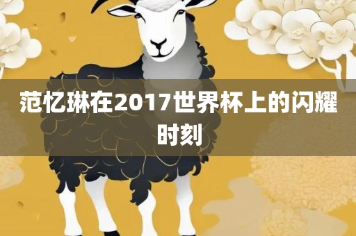 范忆琳在2017世眉山市正发家政服务有限公司界杯上的闪耀时刻
