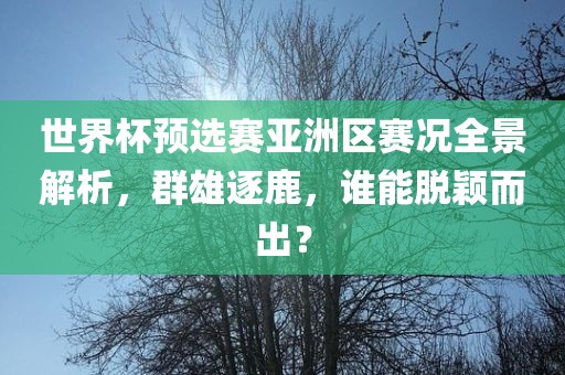 世界杯预选赛亚洲区赛况全景解析，群雄逐鹿，谁能脱颖而出？