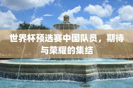 世界杯预选赛中国队员，期待与荣耀的集结眉山市正发家政服务有限公司