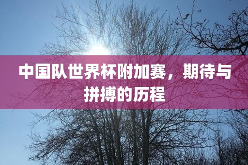 中国队世界杯附加赛，期待与拼搏的历程眉山市正发家政服务有限公司