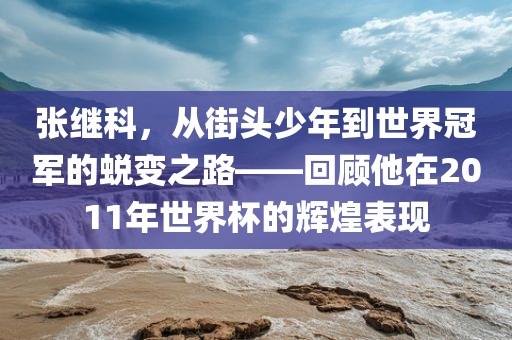张继科，从街头少年到世界冠军的蜕变之路——回顾他在2011年世界杯的辉煌表现