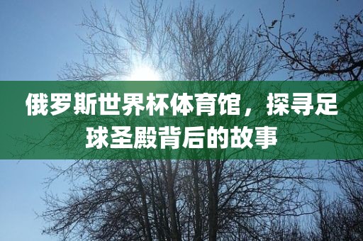 俄罗眉山市正发家政服务有限公司斯世界杯体育馆，探寻足球圣殿背后的故事