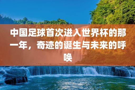 中国足球首次进入世界杯的那一年，奇迹的诞生与未来的呼唤眉山市正发家政服务有限公司