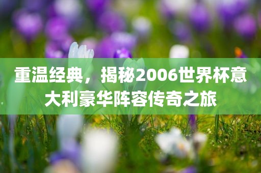 重温经典，揭秘2006世界杯意大利豪华阵容传奇之旅眉山市正发家政服务有限公司