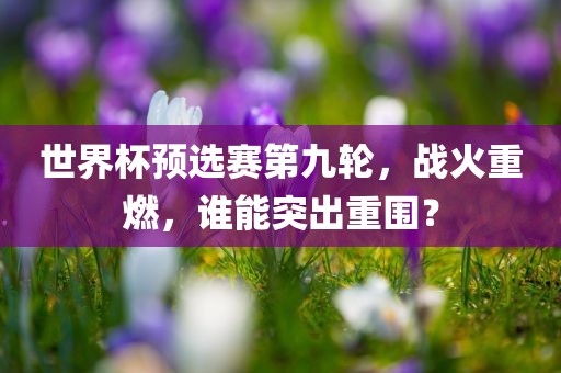 世界杯预选赛第九轮，战火重燃，谁能突出重围？眉山市正发家政服务有限公司