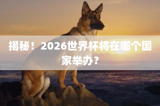 揭秘！2026世界杯将在哪个国家举办？眉山市正发家政服务有限公司