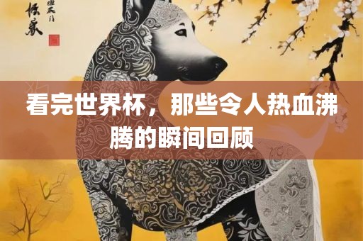 看完世界杯，那些令人热血沸腾的瞬间回顾