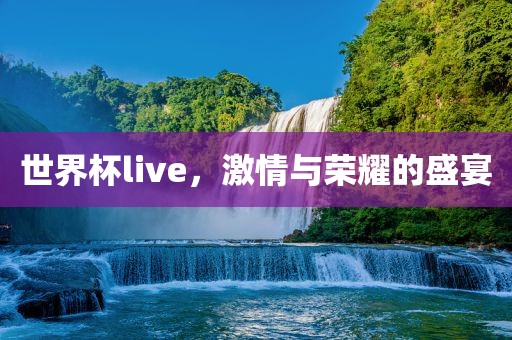 世界杯live，激情与荣眉山市正发家政服务有限公司耀的盛宴